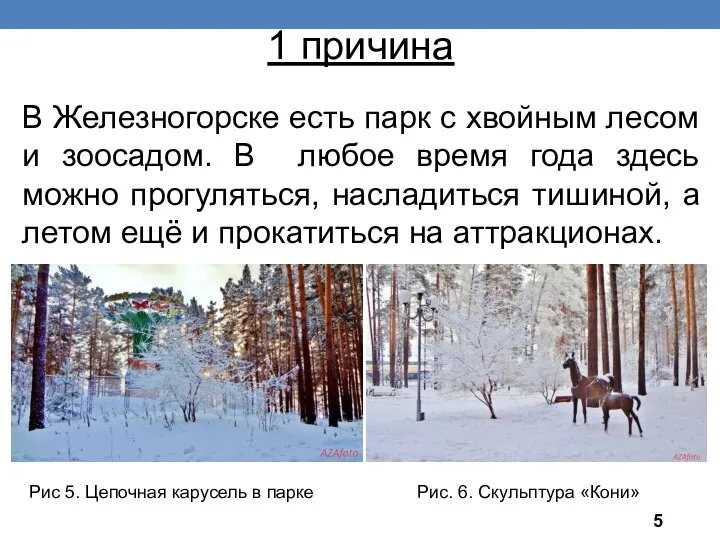 1 причина В Железногорске есть парк с хвойным лесом и