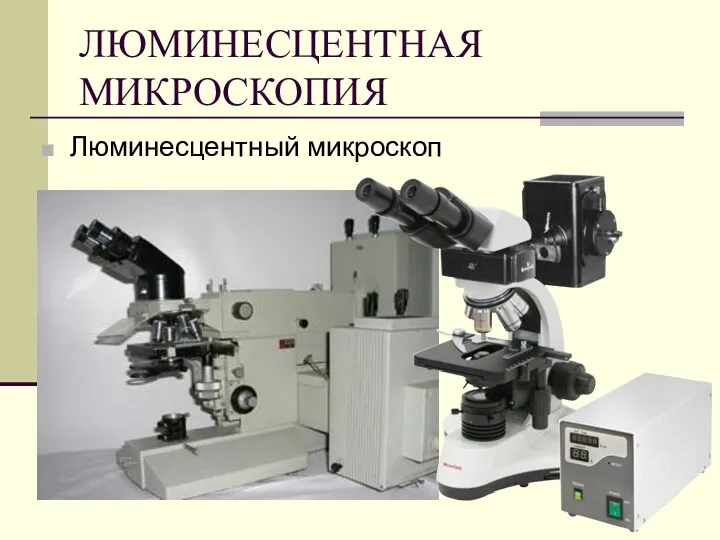 ЛЮМИНЕСЦЕНТНАЯ МИКРОСКОПИЯ Люминесцентный микроскоп
