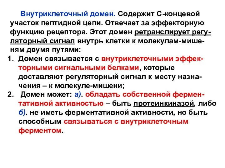 Внутриклеточный домен. Содержит С-концевой участок пептидной цепи. Отвечает за эффекторную