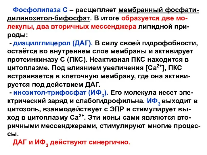 Фосфолипаза С – расщепляет мембранный фосфати- дилинозитол-бифосфат. В итоге образуется