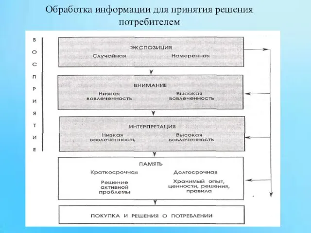 Обработка информации для принятия решения потребителем