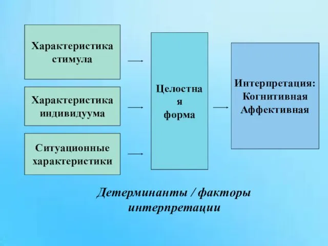 Характеристика стимула Характеристика индивидуума Ситуационные характеристики Целостная форма Интерпретация: Когнитивная Аффективная Детерминанты / факторы интерпретации