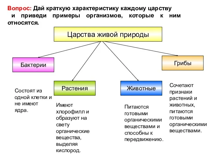 Царства живой природы Бактерии Грибы Растения Животные Состоят из одной