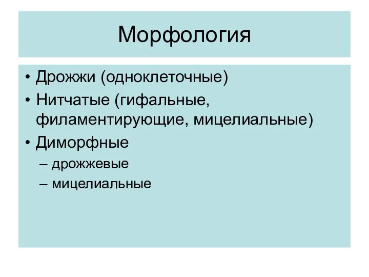 Морфология Дрожжи (одноклеточные) Нитчатые (гифальные, филаментирующие, мицелиальные) Диморфные дрожжевые мицелиальные