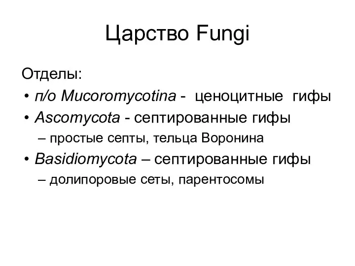 Царство Fungi Отделы: п/о Mucoromycotina - ценоцитные гифы Ascomycota - септированные гифы простые