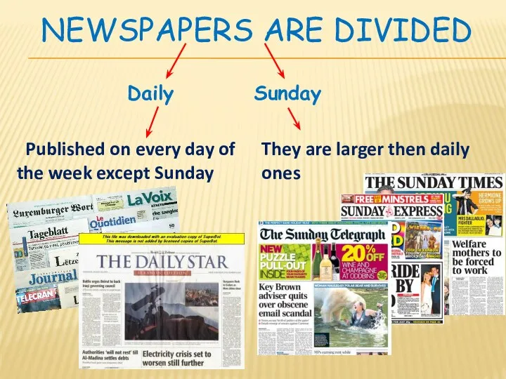 NEWSPAPERS ARE DIVIDED Daily Sunday Published on every day of