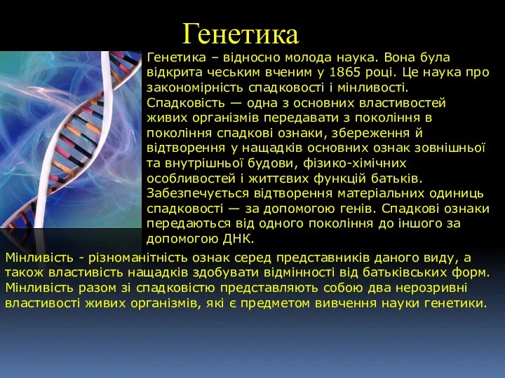 Генетика Генетика – відносно молода наука. Вона була відкрита чеським вченим у 1865