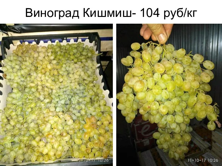 Виноград Кишмиш- 104 руб/кг
