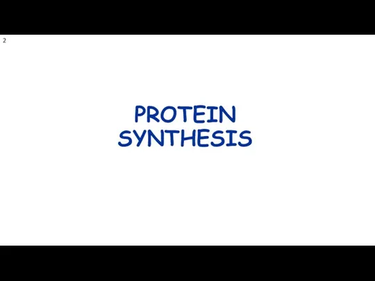 PROTEIN SYNTHESIS