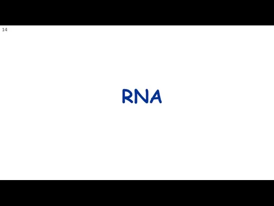 RNA