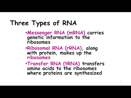 . Three Types of RNA Messenger RNA (mRNA) carries genetic