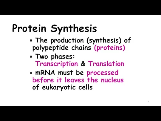 Protein Synthesis The production (synthesis) of polypeptide chains (proteins) Two