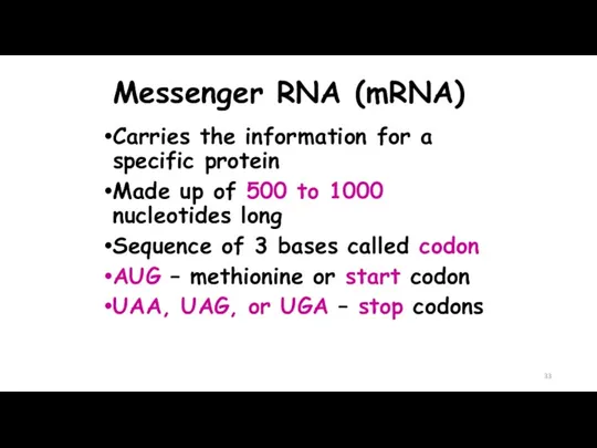 Messenger RNA (mRNA) Carries the information for a specific protein
