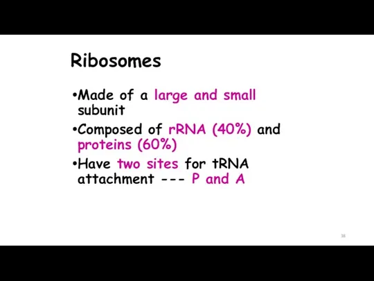 Ribosomes Made of a large and small subunit Composed of