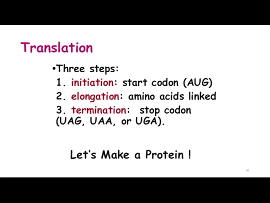 Translation Three steps: 1. initiation: start codon (AUG) 2. elongation: