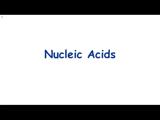 Nucleic Acids