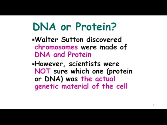 DNA or Protein? Walter Sutton discovered chromosomes were made of