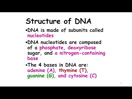 Structure of DNA DNA is made of subunits called nucleotides