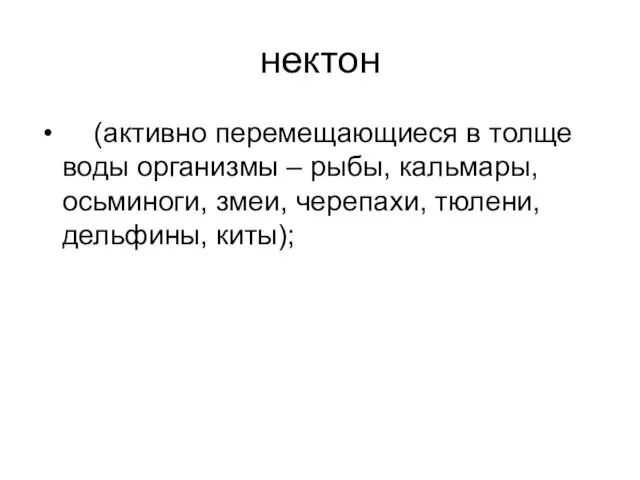 нектон (активно перемещающиеся в толще воды организмы – рыбы, кальмары, осьминоги, змеи, черепахи, тюлени, дельфины, киты);