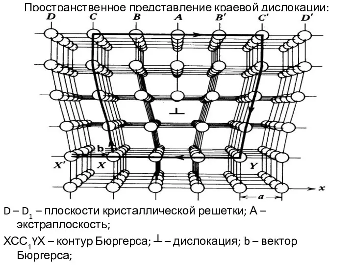 Пространственное представление краевой дислокации: D – D1 – плоскости кристаллической