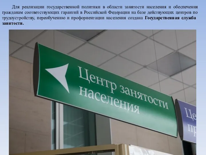 Для реализации государственной политики в области занятости населения и обеспечения