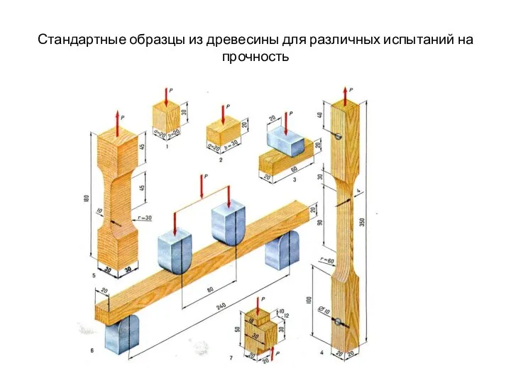 Стандартные образцы из древесины для различных испытаний на прочность