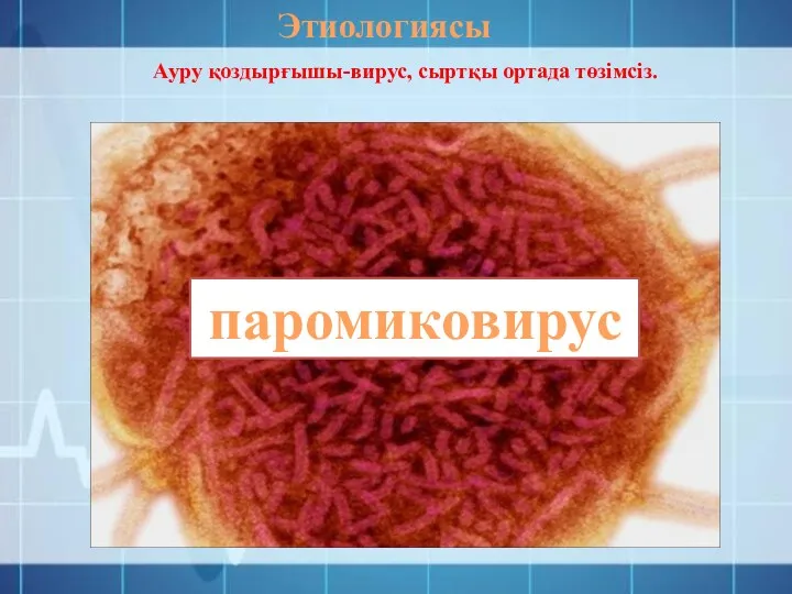 Этиологиясы Ауру қоздырғышы-вирус, сыртқы ортада төзімсіз. паромиковирус
