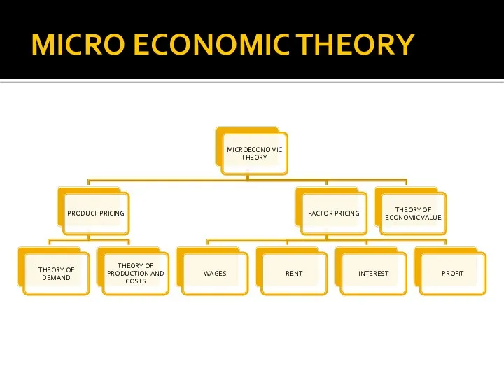 MICRO ECONOMIC THEORY