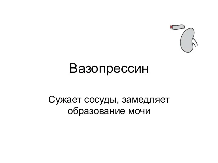 Вазопрессин Сужает сосуды, замедляет образование мочи