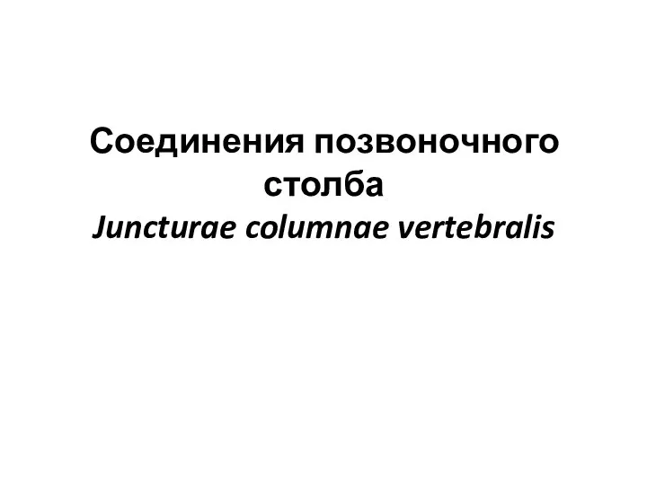 Соединения позвоночного столба Juncturae columnae vertebralis