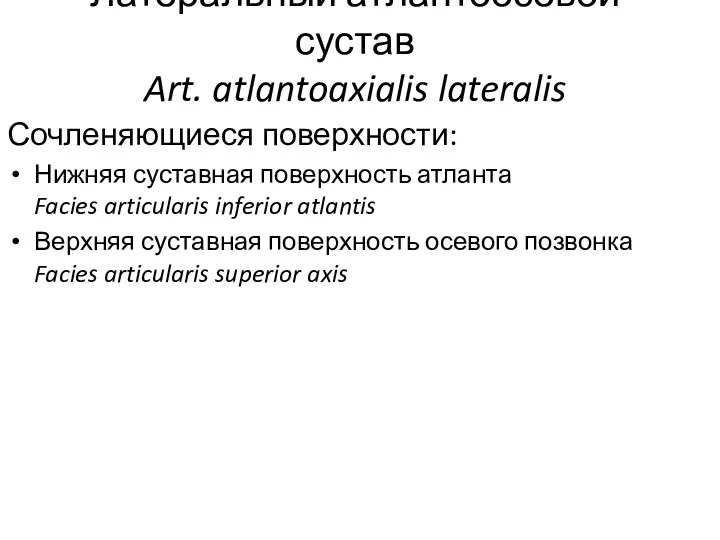 Латеральный атлантоосевой сустав Art. atlantoaxialis lateralis Сочленяющиеся поверхности: Нижняя суставная