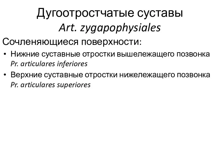 Дугоотростчатые суставы Art. zygapophysiales Сочленяющиеся поверхности: Нижние суставные отростки вышележащего