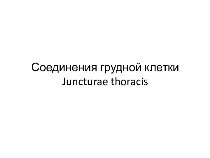 Соединения грудной клетки Juncturae thoracis