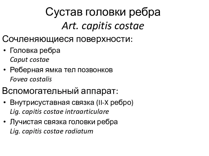 Сустав головки ребра Art. capitis costae Сочленяющиеся поверхности: Головка ребра