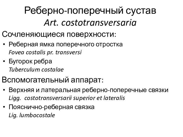 Реберно-поперечный сустав Art. costotransversaria Сочленяющиеся поверхности: Реберная ямка поперечного отростка