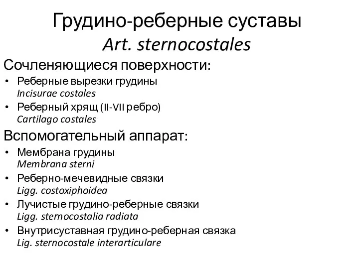 Грудино-реберные суставы Art. sternocostales Сочленяющиеся поверхности: Реберные вырезки грудины Incisurae