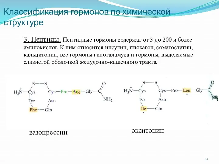 Классификация гормонов по химической структуре 3. Пептиды. Пептидные гормоны содержат