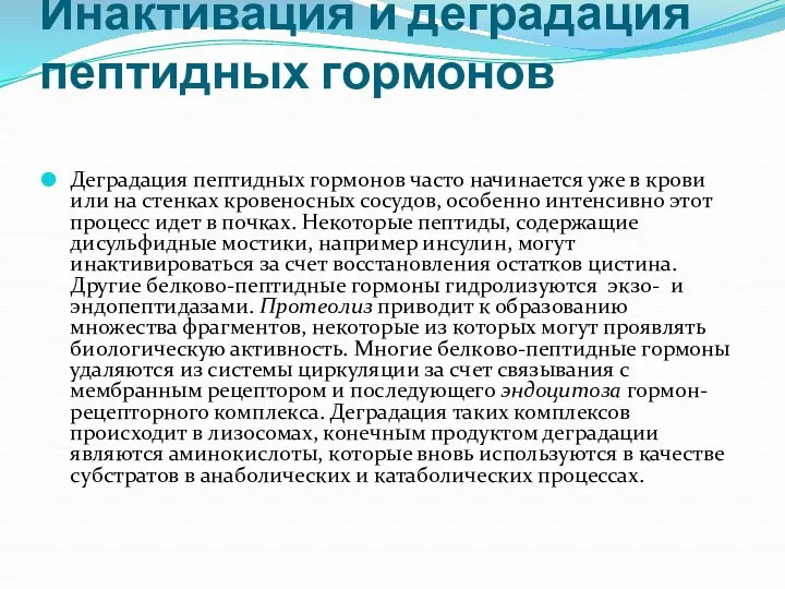 Инактивация и деградация пептидных гормонов Деградация пептидных гормонов часто начинается