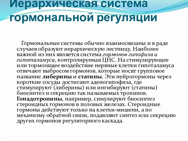 Иерархическая система гормональной регуляции Гормональные системы обычно взаимосвязаны и в