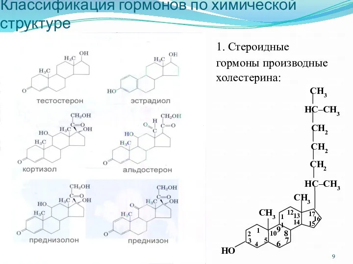 Классификация гормонов по химической структуре 1. Стероидные гормоны производные холестерина: