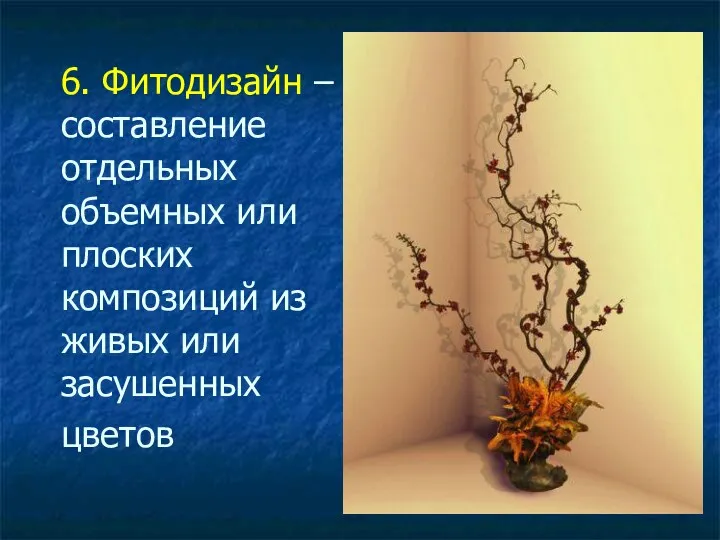 6. Фитодизайн – составление отдельных объемных или плоских композиций из живых или засушенных цветов