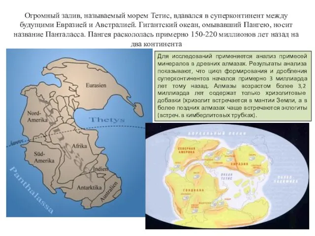 Огромный залив, называемый морем Тетис, вдавался в суперконтинент между будущими