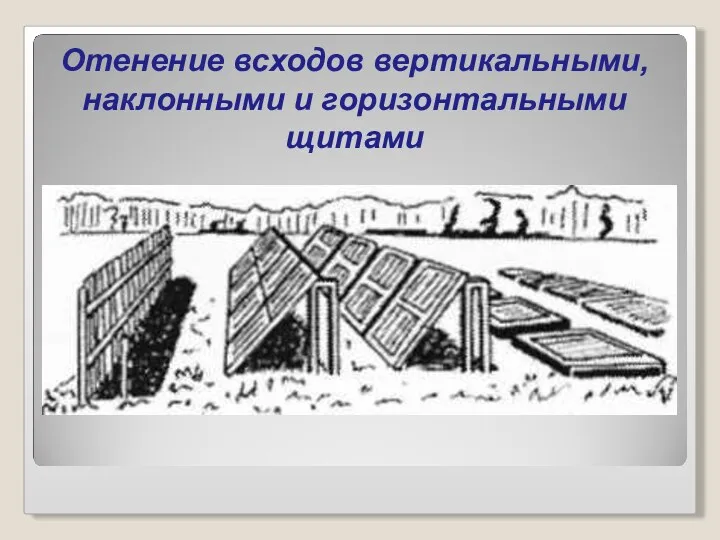 Отенение всходов вертикальными, наклонными и горизонтальными щитами