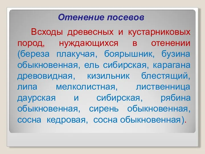 Отенение посевов Всходы древесных и кустарниковых пород, нуждающихся в отенении