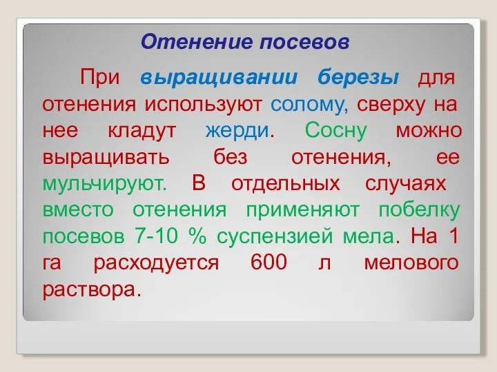 Отенение посевов При выращивании березы для отенения используют солому, сверху