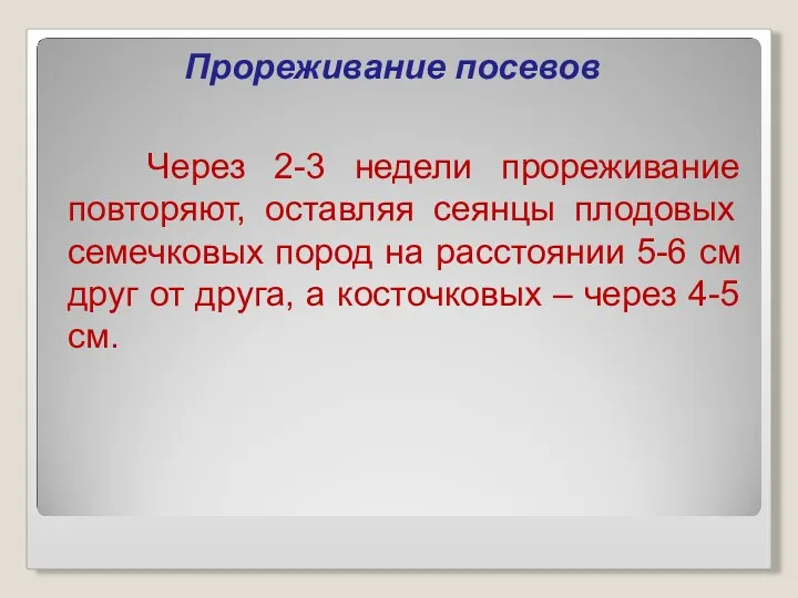 Прореживание посевов Через 2-3 недели прореживание повторяют, оставляя сеянцы плодовых