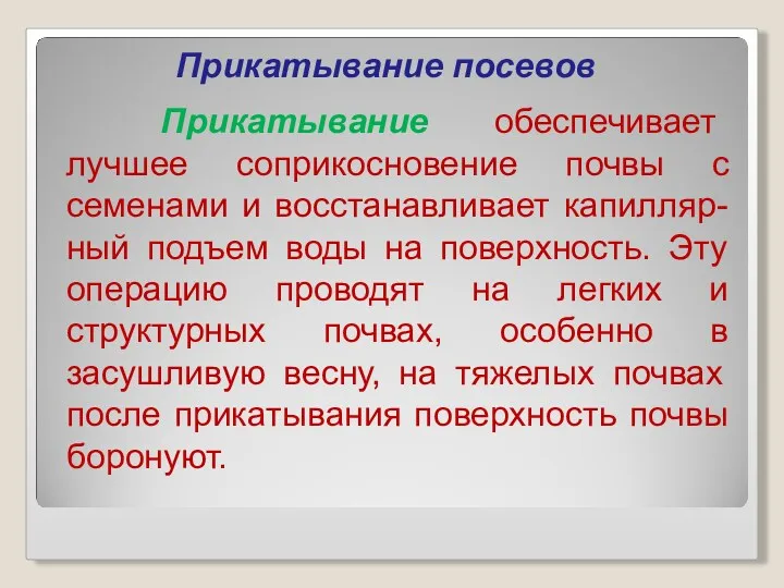 Прикатывание посевов Прикатывание обеспечивает лучшее соприкосновение почвы с семенами и