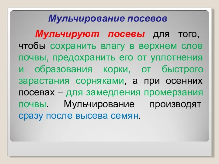 Мульчирование посевов Мульчируют посевы для того, чтобы сохранить влагу в