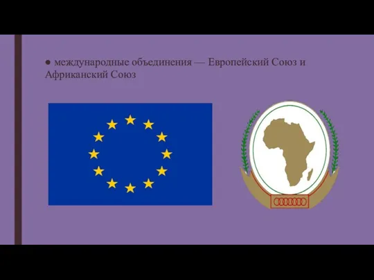 ● международные объединения — Европейский Союз и Африканский Союз