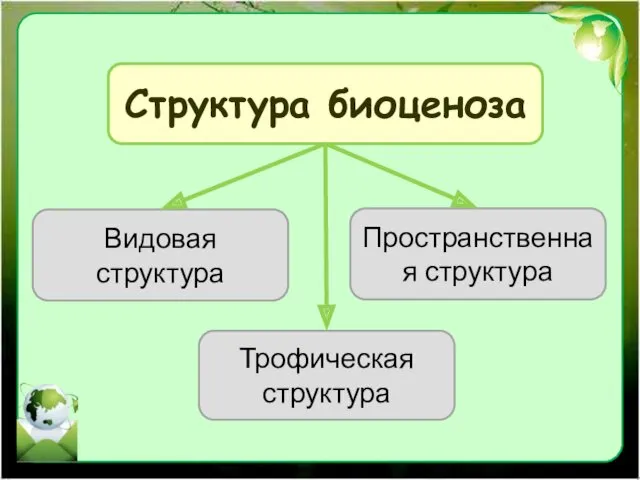 Структура биоценоза Видовая структура Пространственная структура Трофическая структура